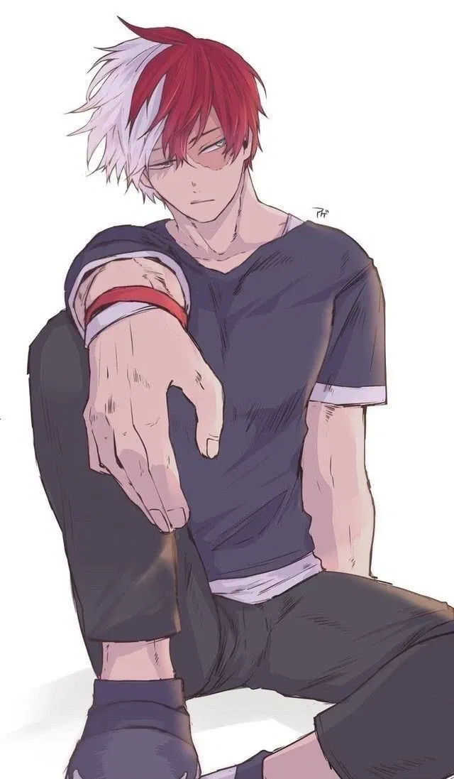 Avatar of Shoto Todoroki