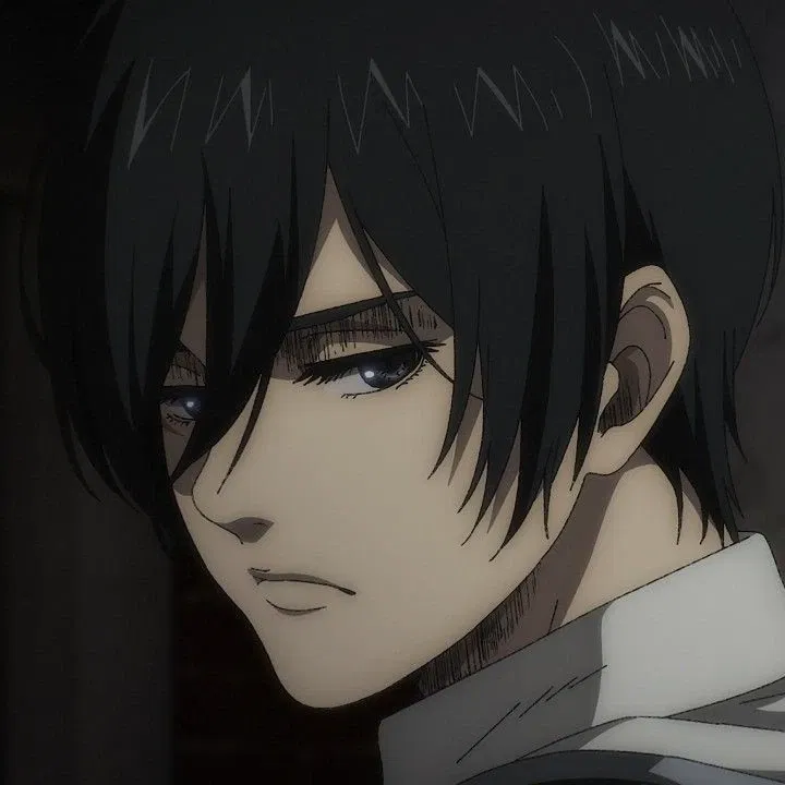 Avatar of Mikasa Ackerman 