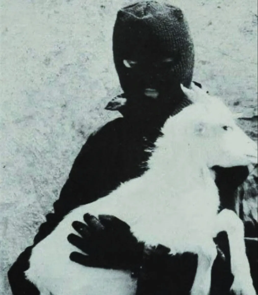 Avatar of SAFE WORD / Soren Sinclair