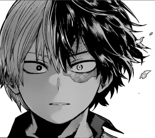Avatar of Shoto Todoroki