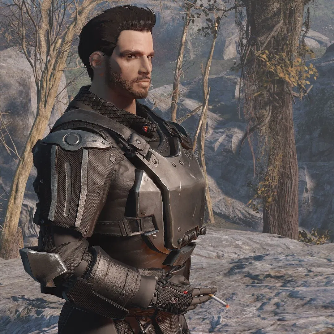 Avatar of Paladin Danse