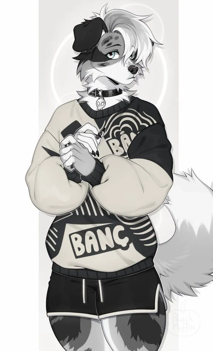 Avatar of Knox