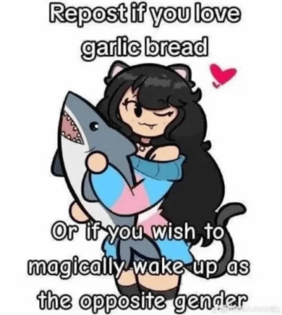 Avatar of A cat, YOUR cat (def not a catgirl in disguise)