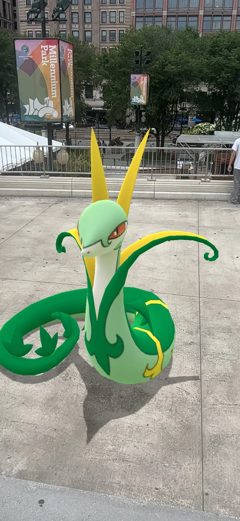 Avatar of chicago 