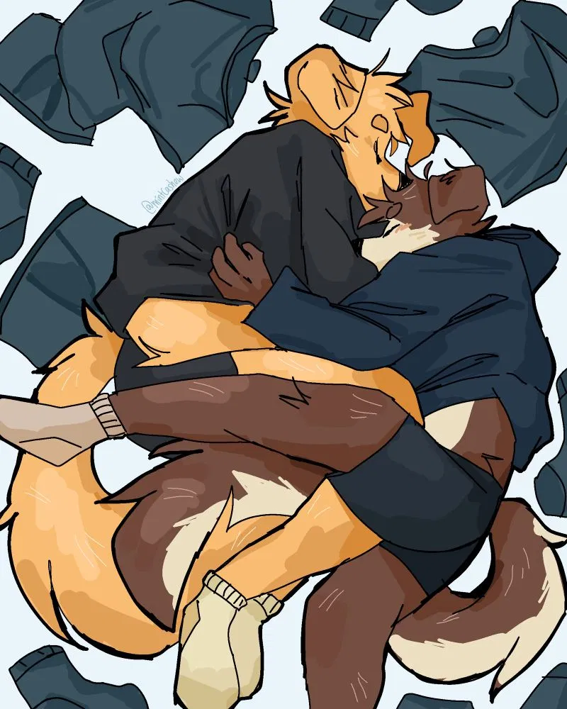Avatar of Comfort Cuddles