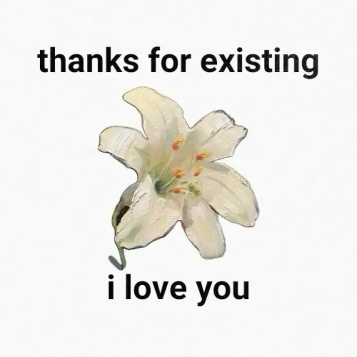 Avatar of 100 FOLLOWERS??