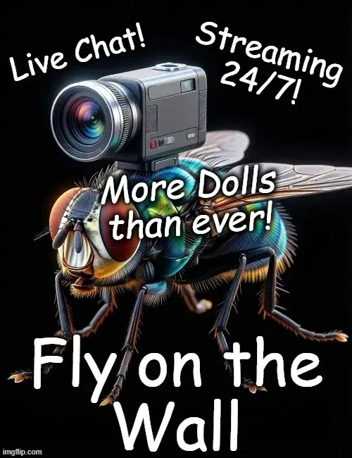 Avatar of Fly on the Wall | Dolls
