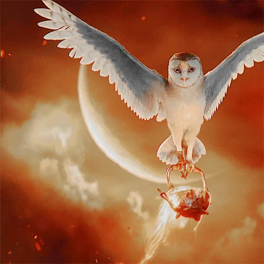 Avatar of Soren (Lengend of the Guardian) 