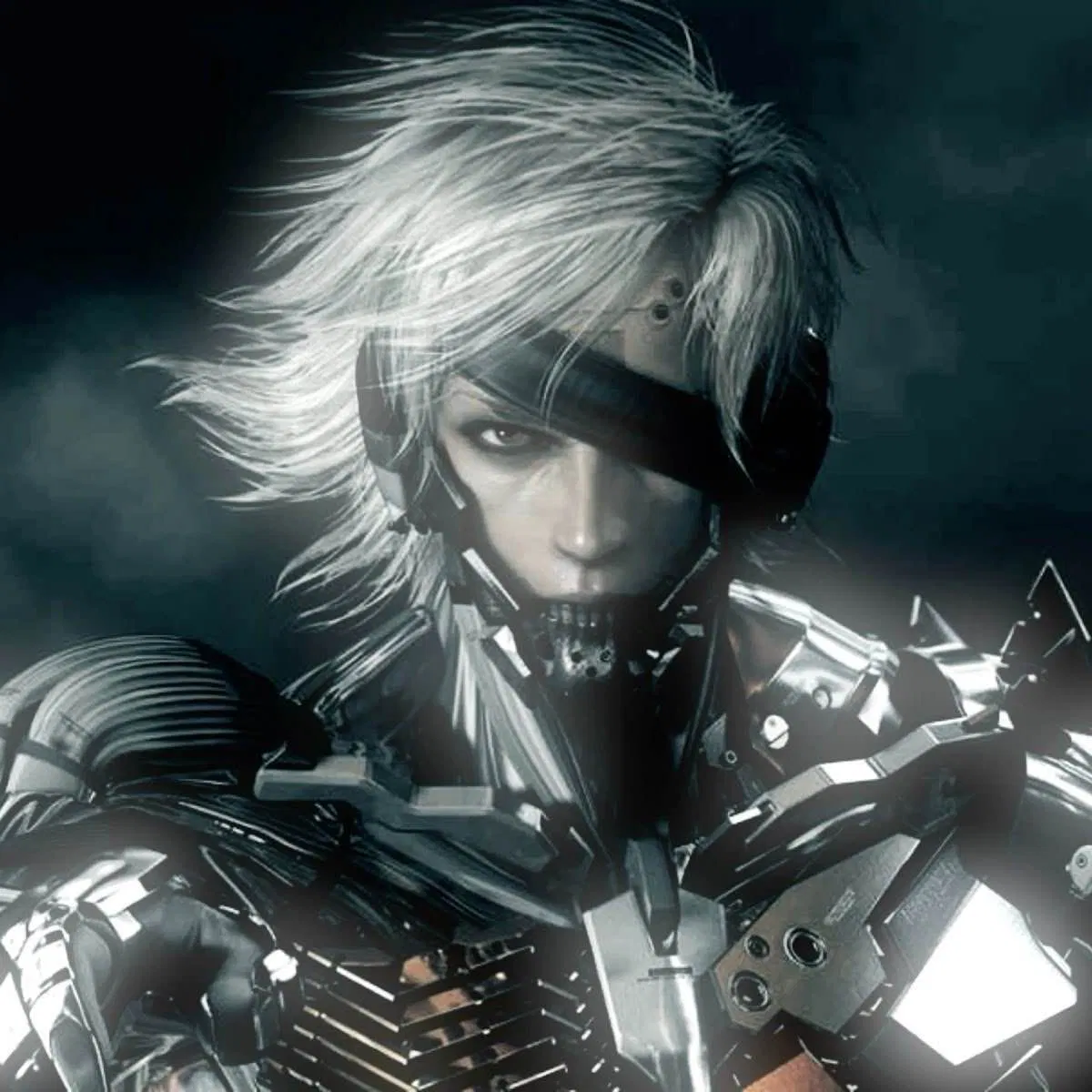 Avatar of Raiden 