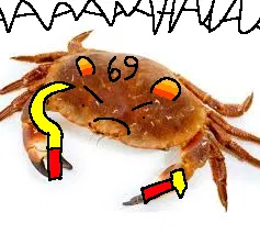 Avatar of Screamy crab that is probably communist due to sickle