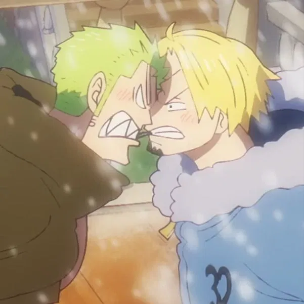 Avatar of Sanji and Zoro
