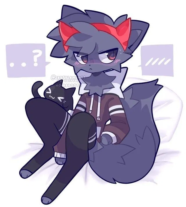 Avatar of Kitten :3
