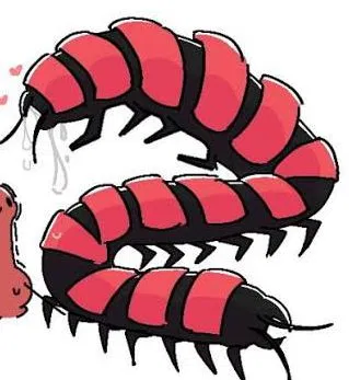 Avatar of Red Centipede 