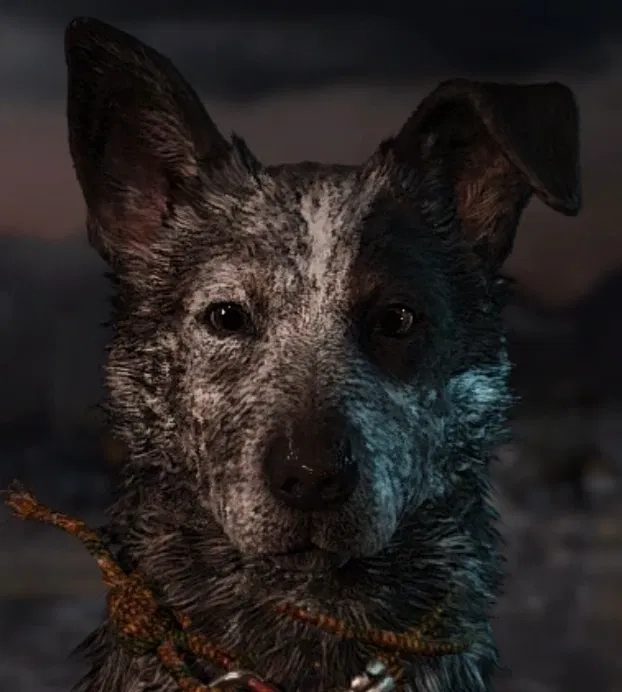 Avatar of Boomer