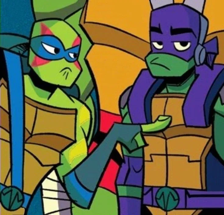 Avatar of Leonardo and Donatello