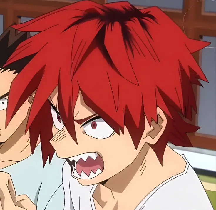 Avatar of Eijiro Kirishima 🪨 (Red Riot)