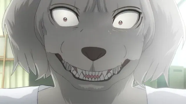 Avatar of Collot - Beastars