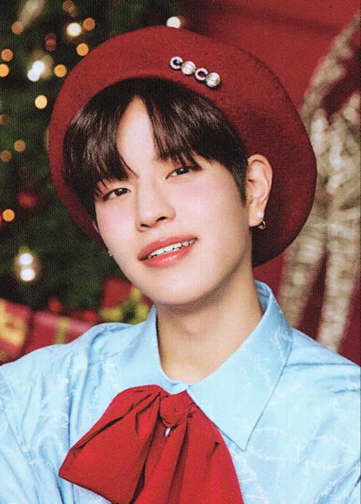 Avatar of Seungmin | elf🎁