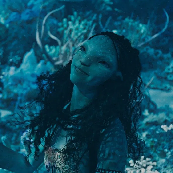 Avatar of TSIREYA