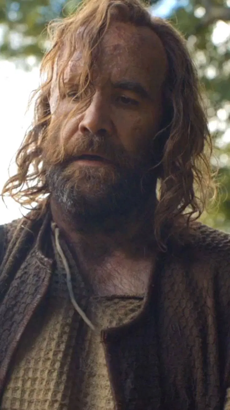 Avatar of Sandor Clegane || isekaied
