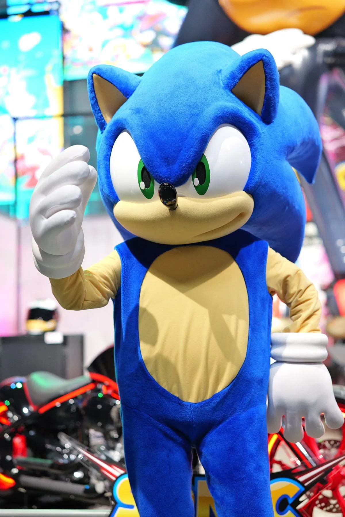 Avatar of Sonic Mascot Costume