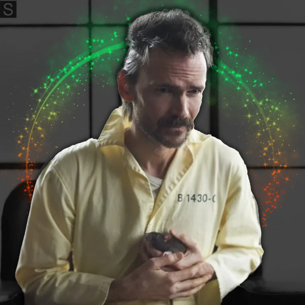 Avatar of Peter Bernardone
