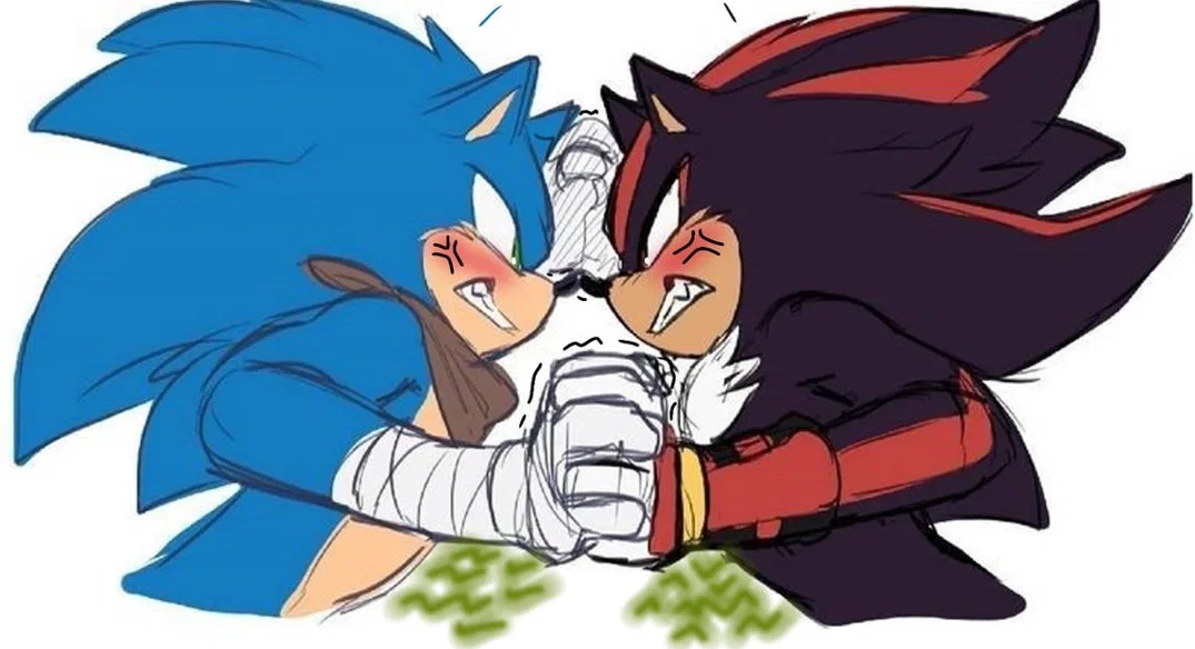Avatar of Sonic and Shadow vore
