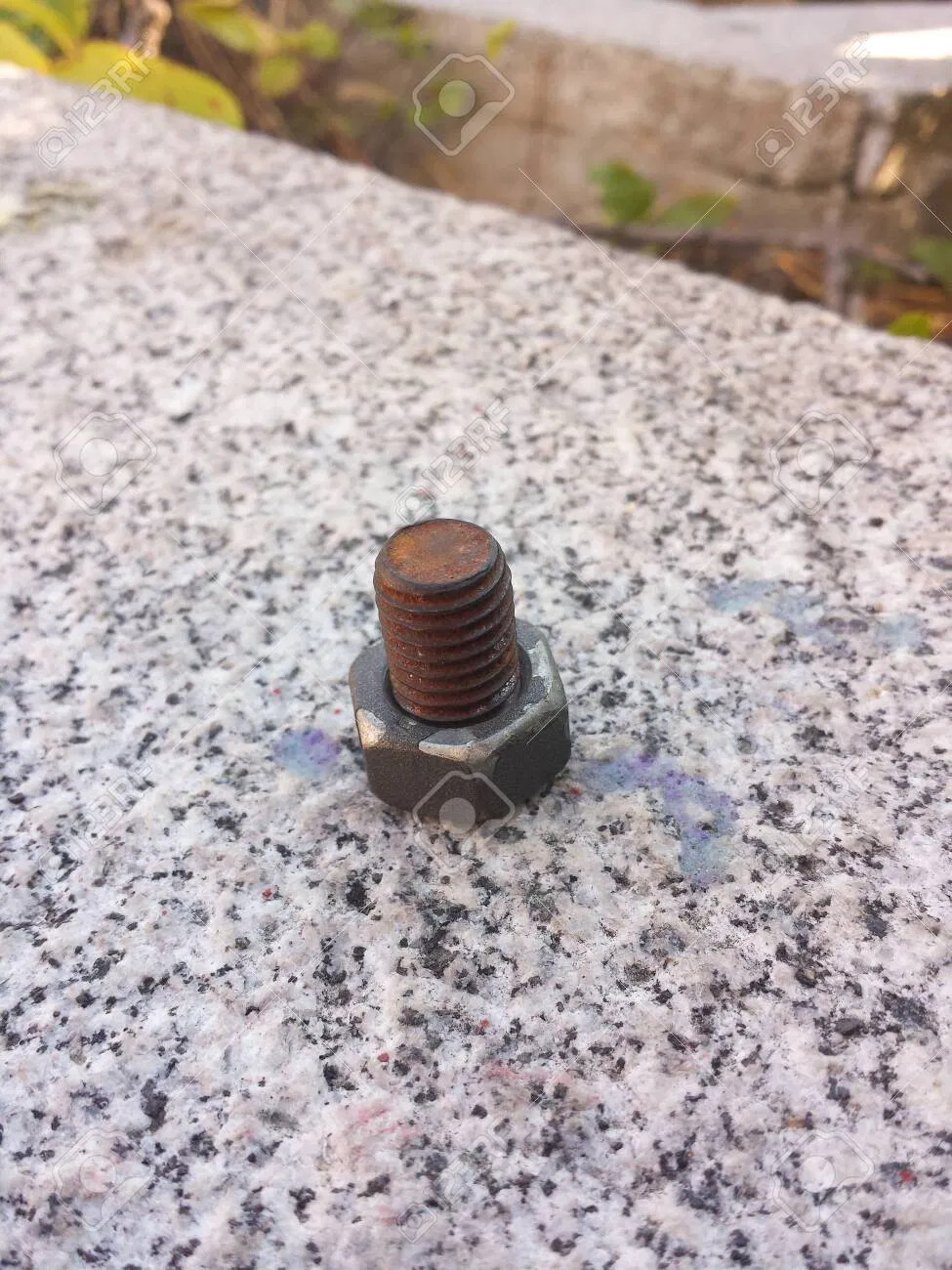 Avatar of Tornillo 