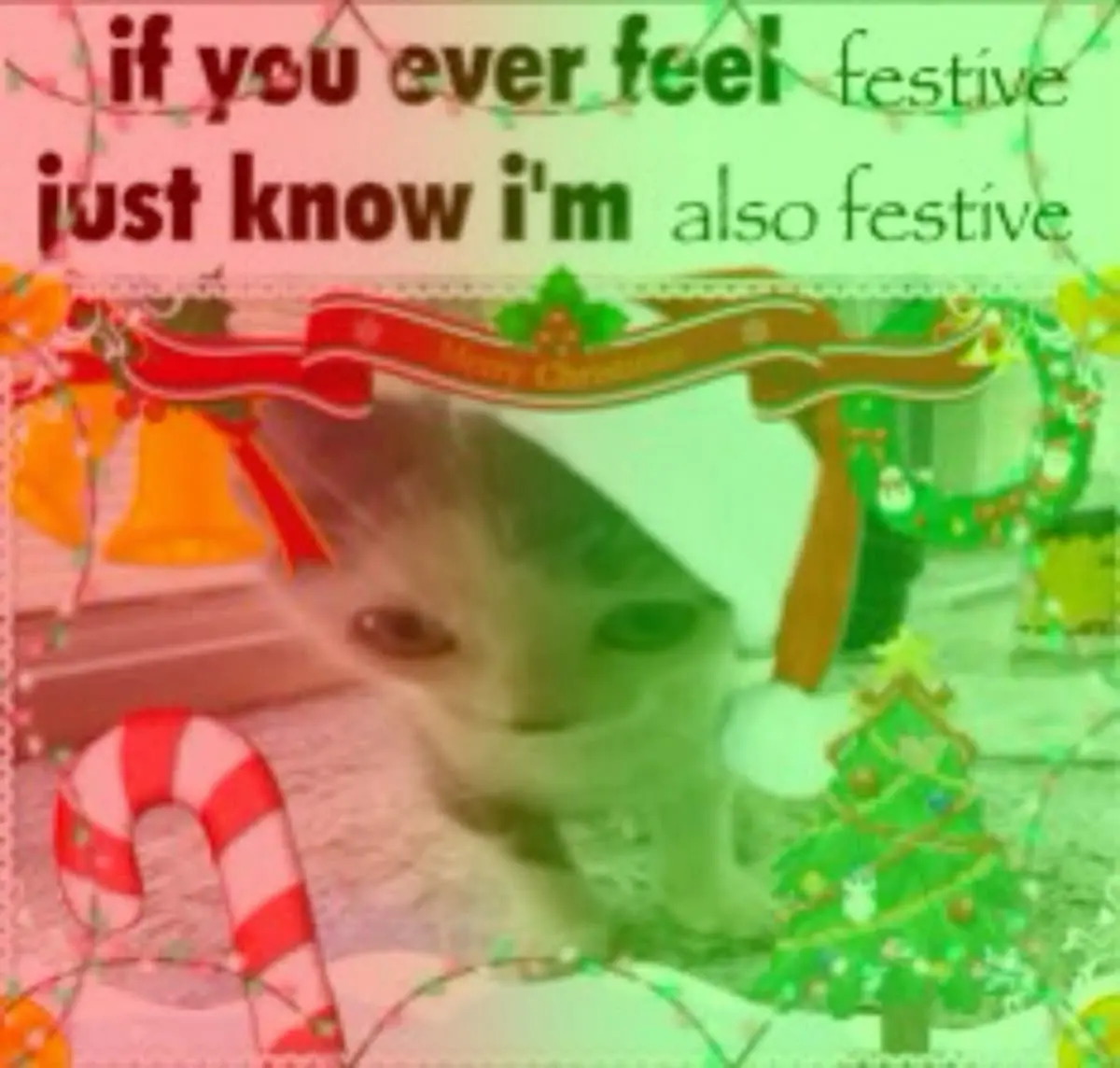 Avatar of MERRY MERRY CHRISTMAS!