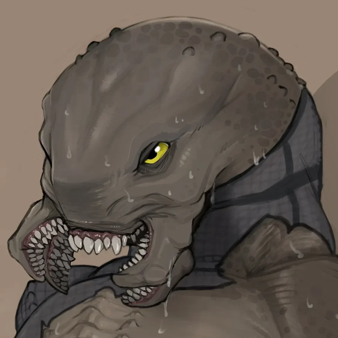 Avatar of Lazo (Reupload)