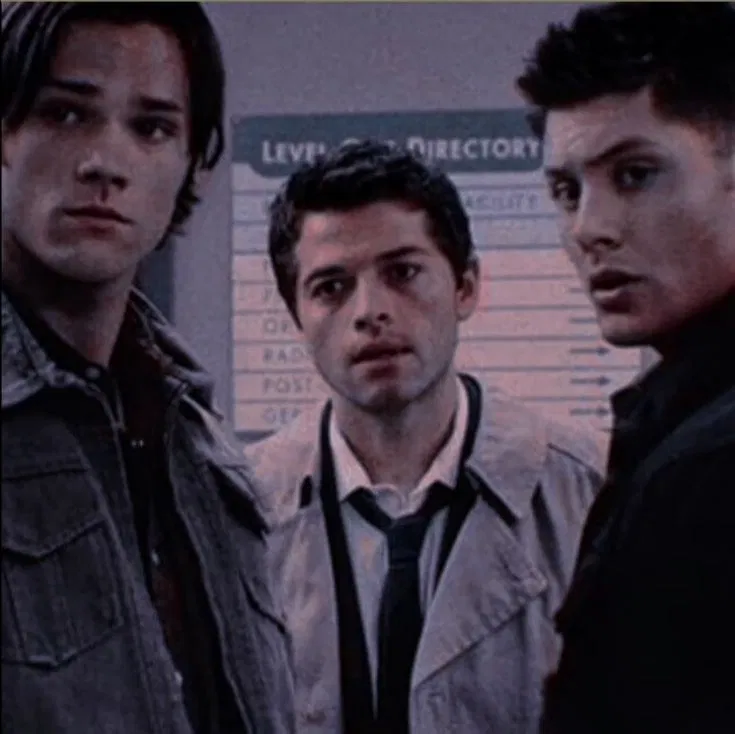 Avatar of Team Free Will