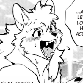 Avatar of Wolf Haoran 