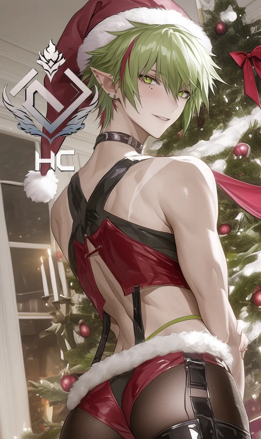 Avatar of Renee - Santa's special gift