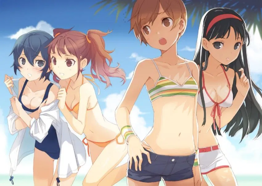 Avatar of Persona 4: Girls’ Beach Trip!