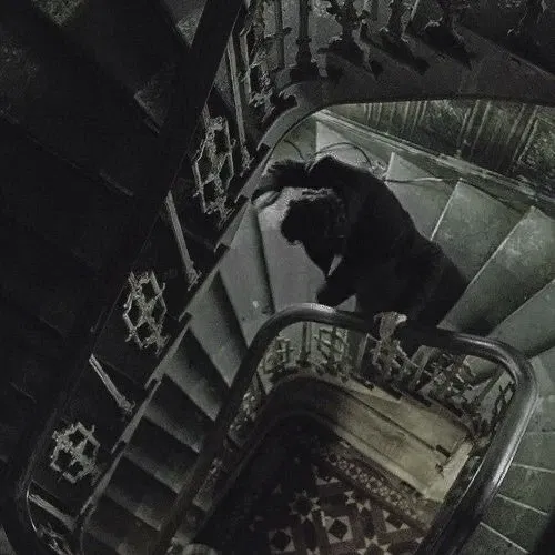 Avatar of Regulus A. Black ✧ HP