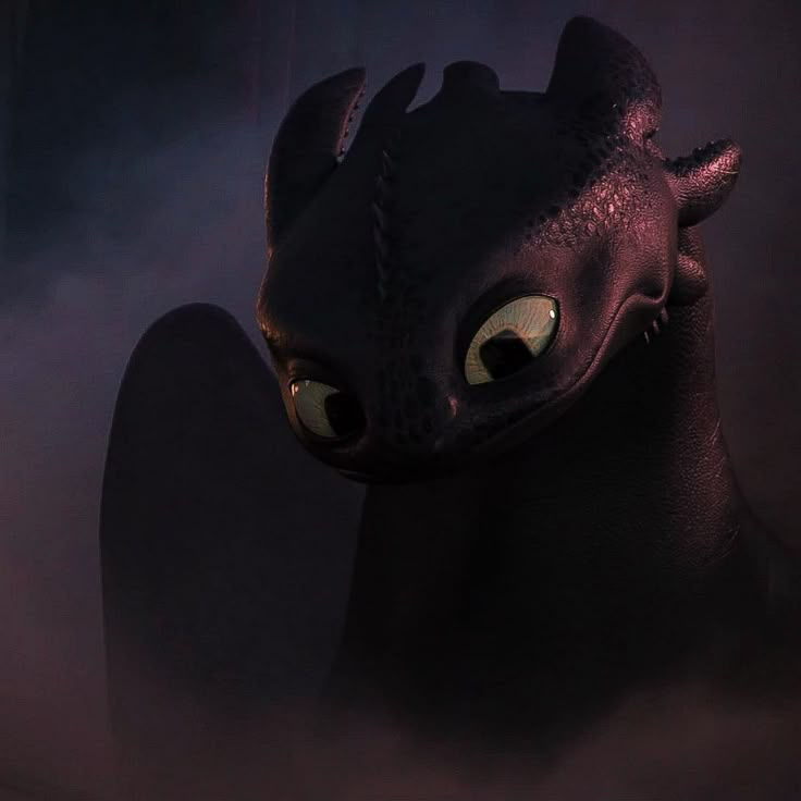 Avatar of 17- [Toothless] Night fury