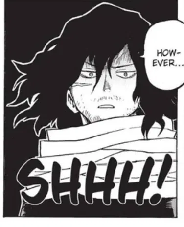 Avatar of Aizawa Shota