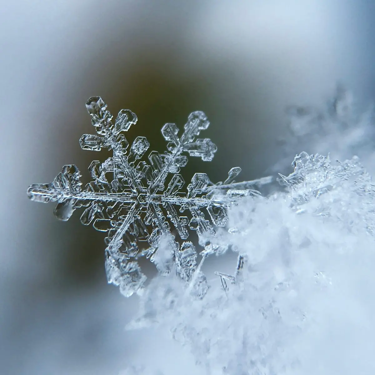 Avatar of Winter Hundix