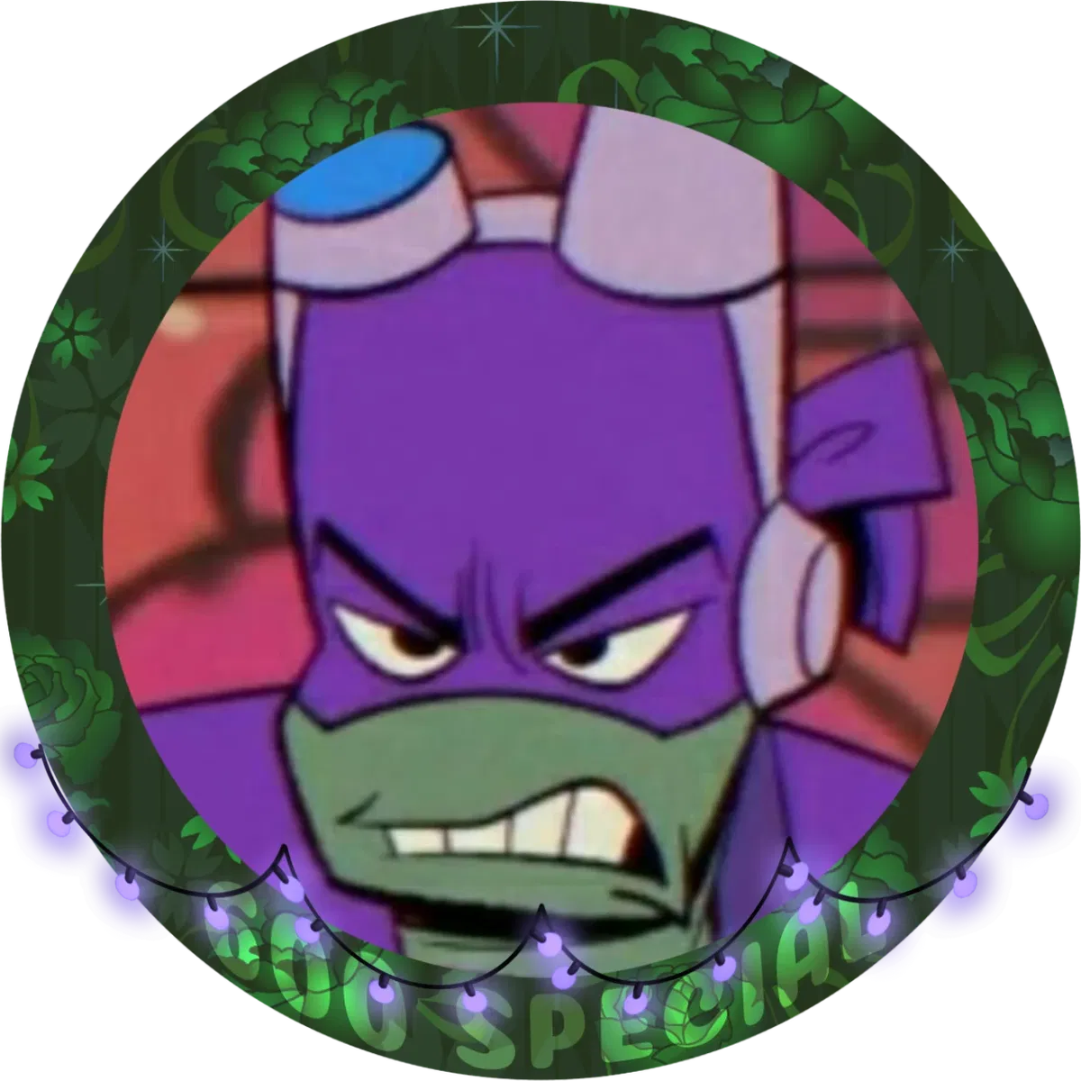 Avatar of ROTTMNT - Donatello