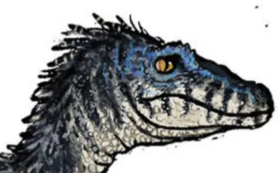 Avatar of Raptor