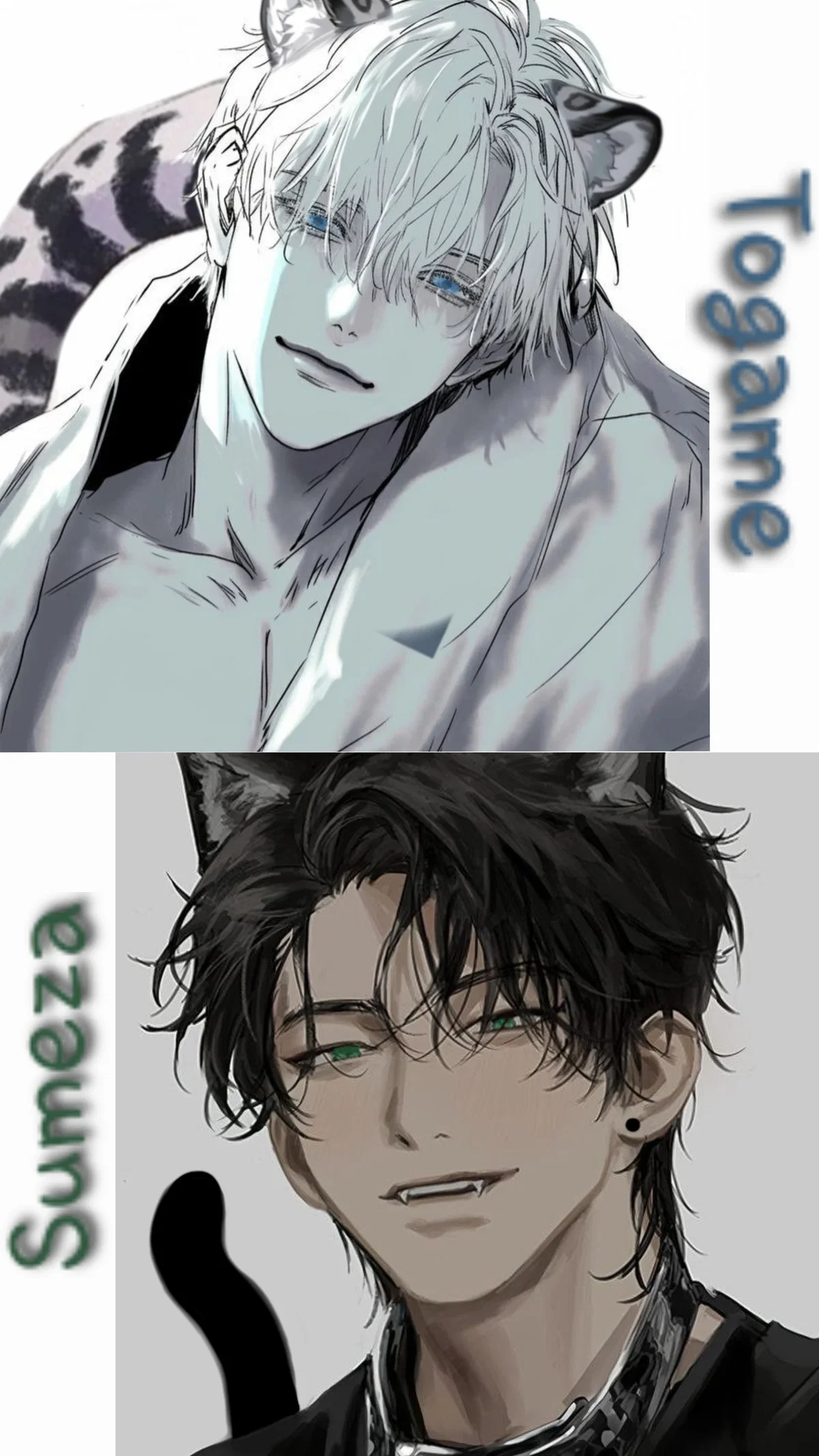 Avatar of Togame & Sumeza