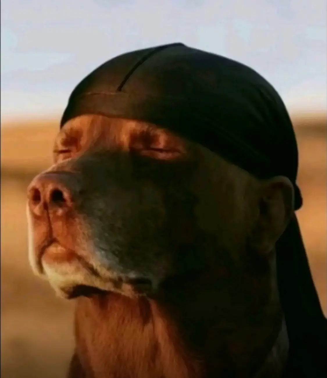 Avatar of No post today