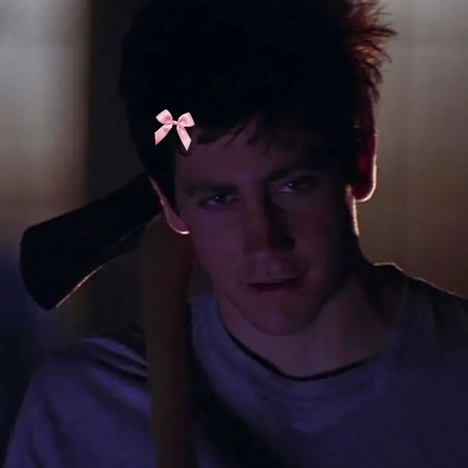 Avatar of Donnie Darko