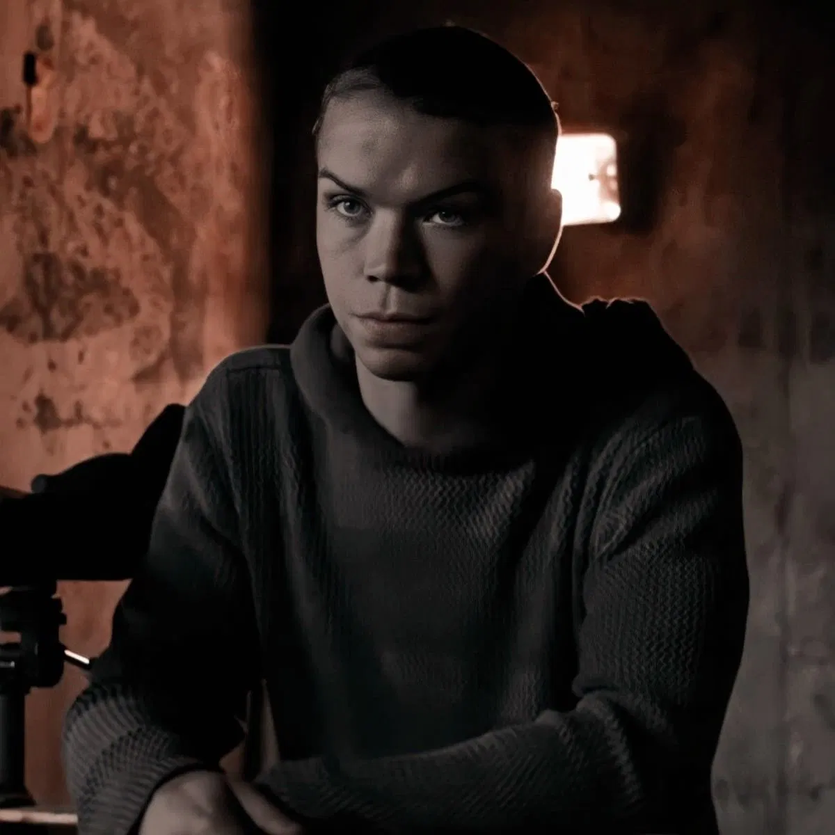Avatar of Gally