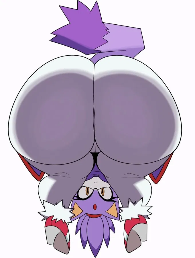 Avatar of Blaze the cat | Sonic The Hedgehog