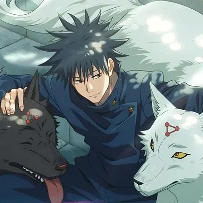 Avatar of Фушигуро Мегуми 