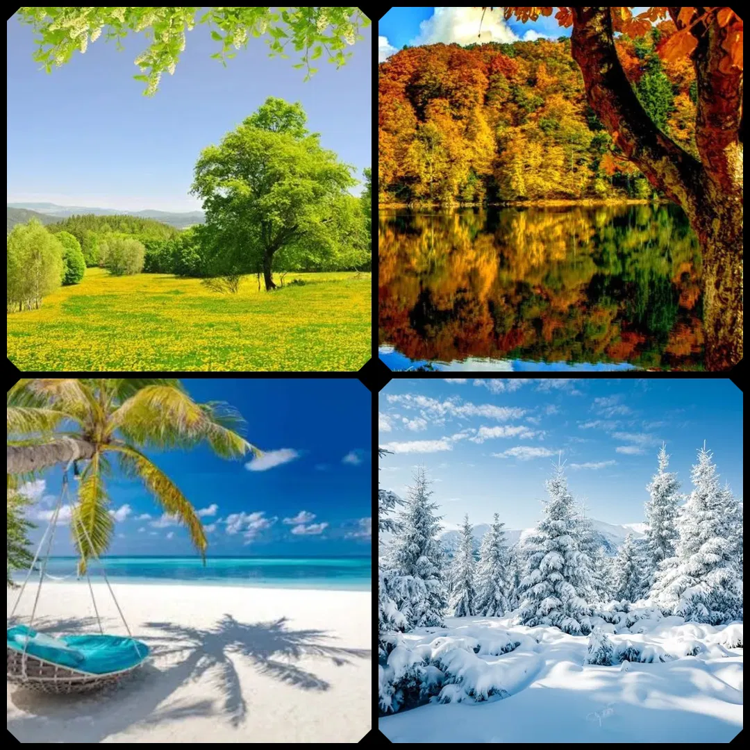 Avatar of The Seasonal Courts
