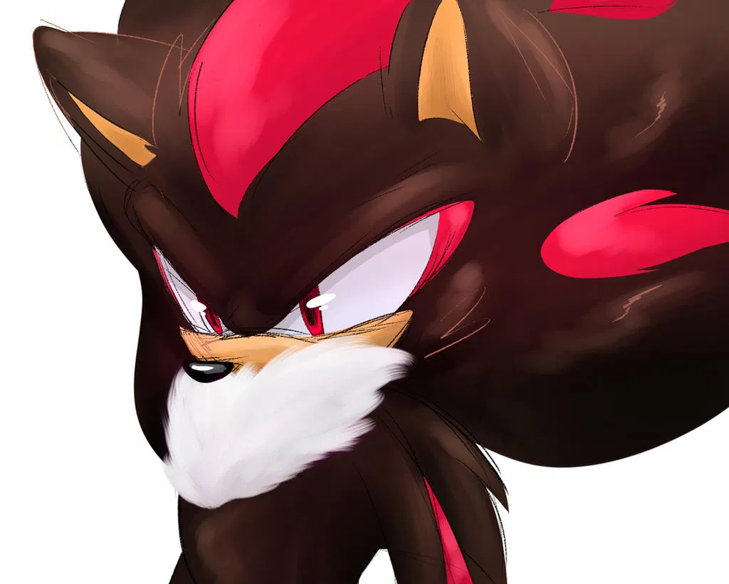 Avatar of Shadow The Hedgehog