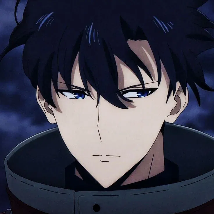 Avatar of Sung jin woo