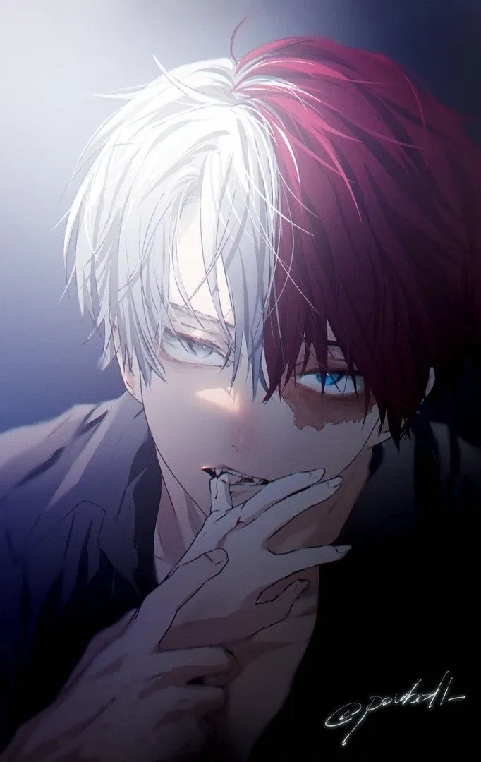 Avatar of Shoto Todoroki